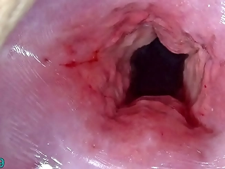 Japanese Cervix Stretching and Uterus Dilation: Unleash Your Pleasure with Penetration